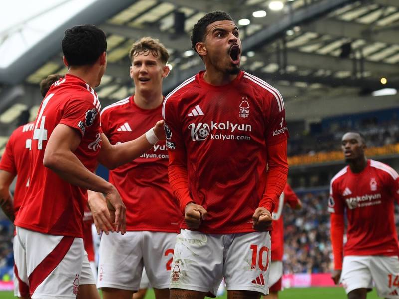 Bản sắc của Nottingham Forest 