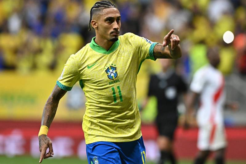 Đóng góp ở đội tuyển Brazil