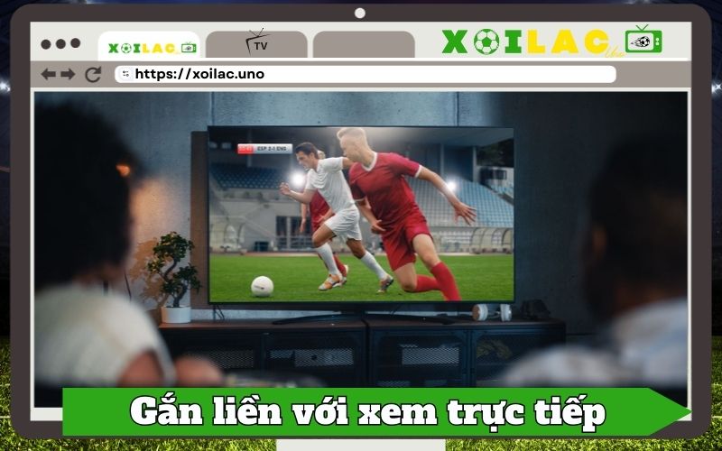 Lịch thi đấu gắn liền với trải nghiệm xem trực tiếp