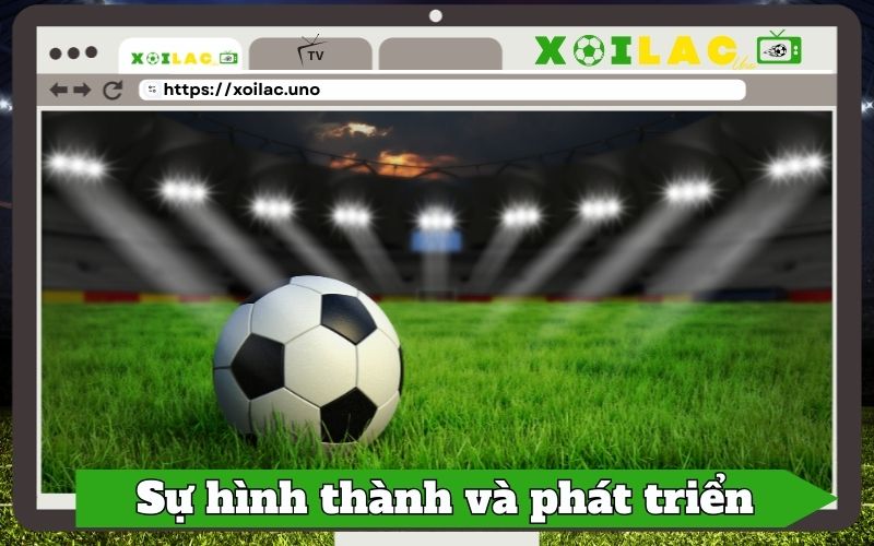 Sự hình thành và định hướng phát triển